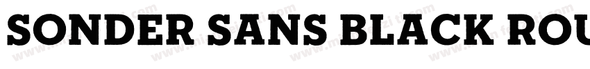 Sonder Sans Black Rough字体转换